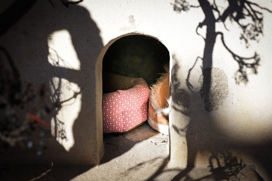 動物醫院：揭開獸醫幕後的趣味與知識